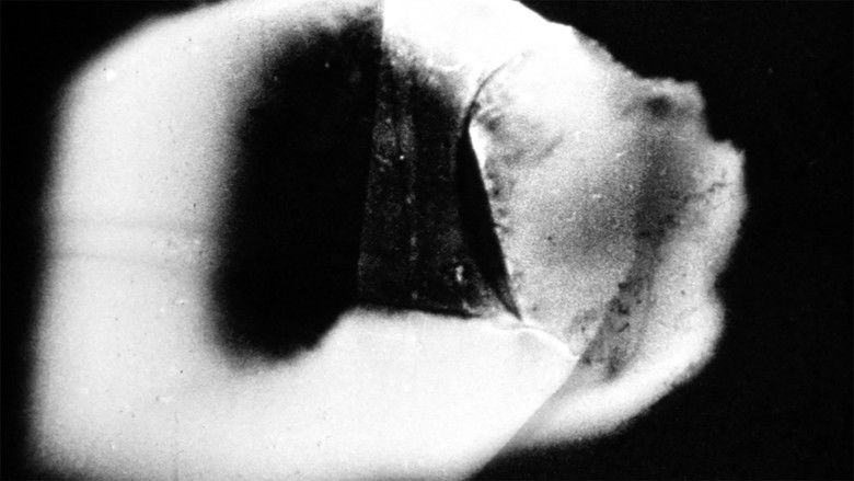 Gallery image from h1C7BYLKbPllgN2Lg1Bgjws1j6o.jpg