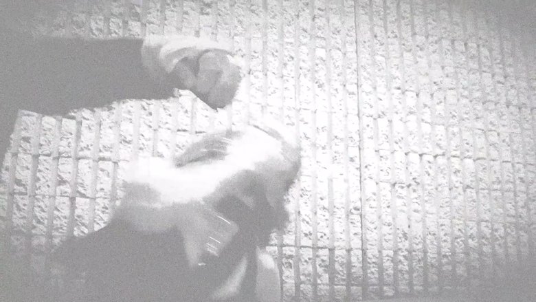 Trapped In Sight (2025)