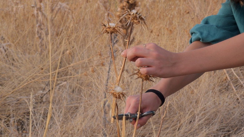 Imatge de Azul la mancha