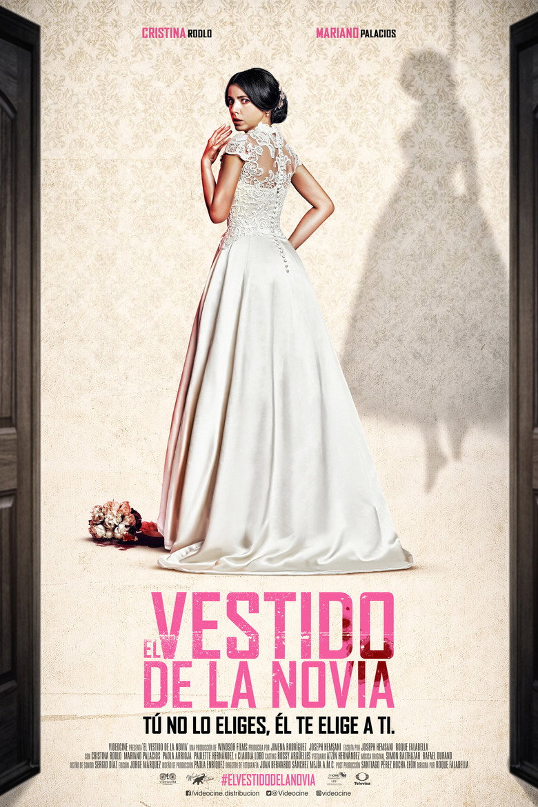 Imagen de El vestido de la novia