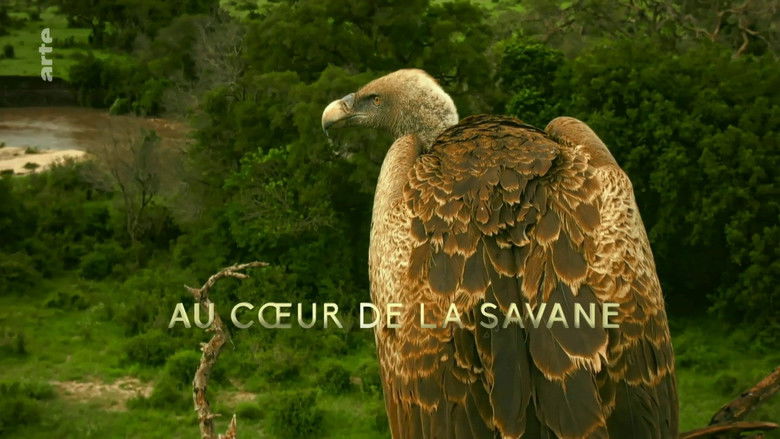 Still image for Serengeti season 1 episode 1: In The Heart of the Savanna