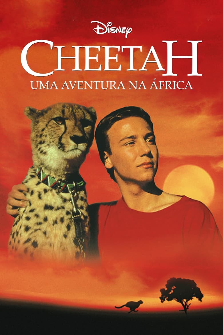 Cheetah Uma Aventura na Africa