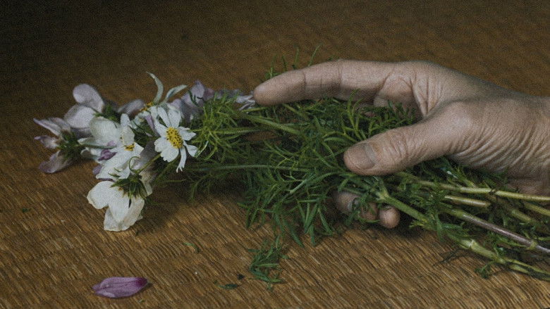 Image d'arrière-plan 5 du film Subarashiki sekai