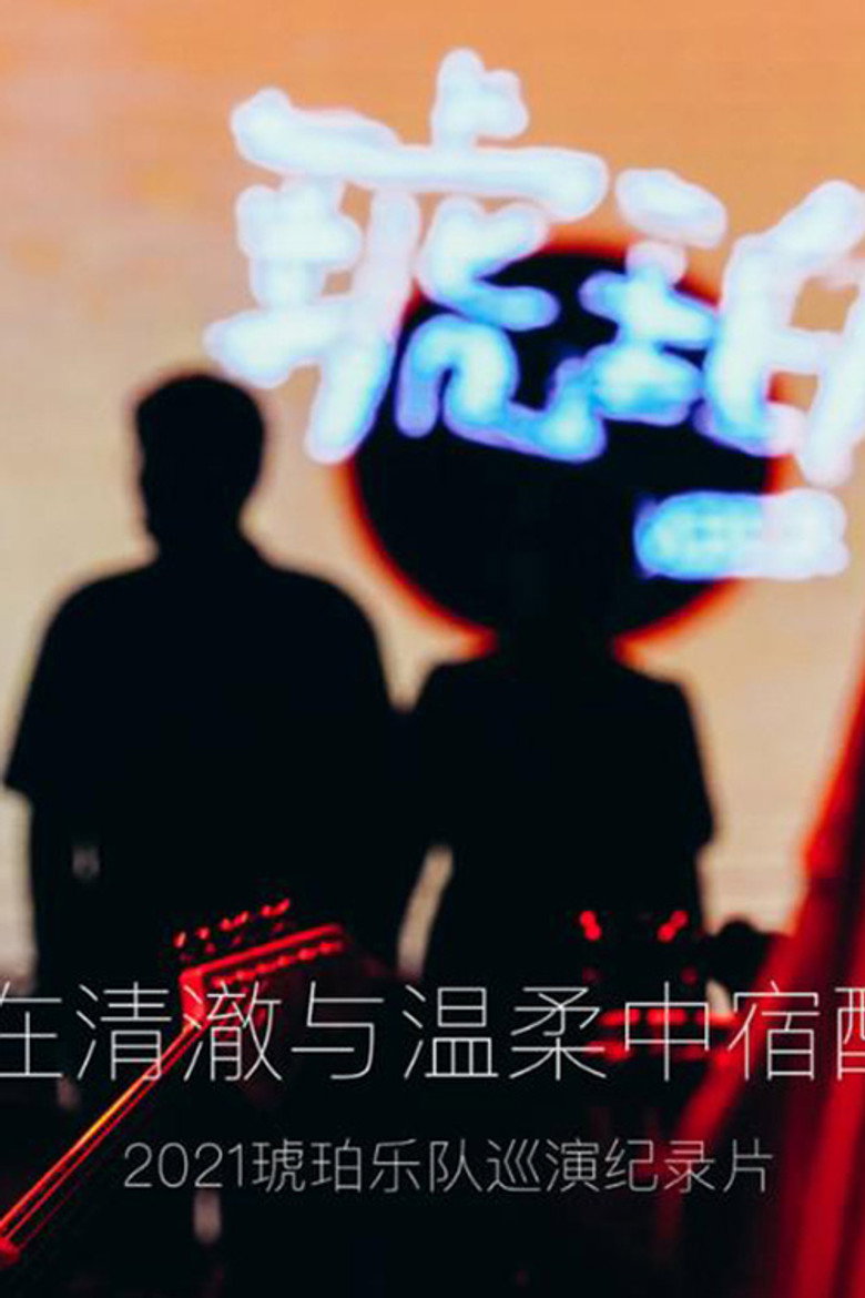 琥珀，在清澈与温柔中宿醉 (2021)-光鸭·臻影社
