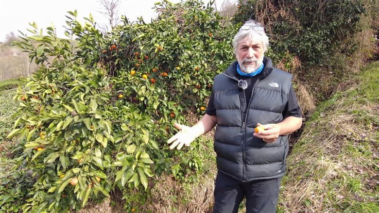 Still image for İstikamet Karadeniz season 1 episode 12: Episode 12