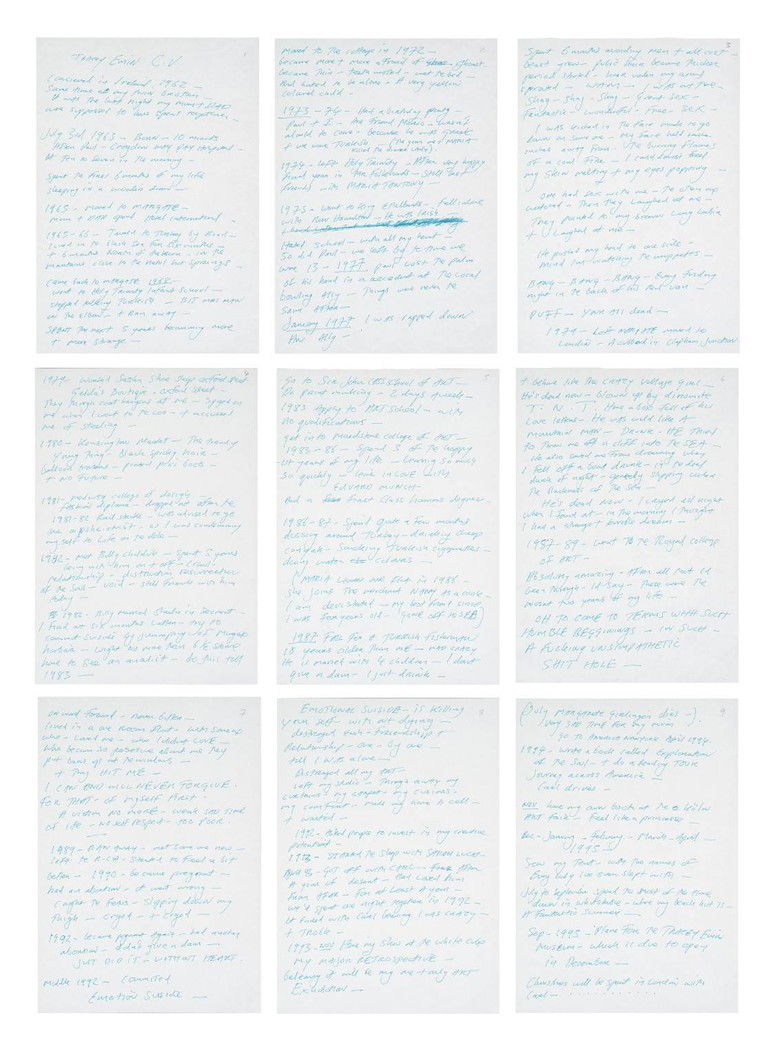 Imatge de Tracey Emin C.V. Cunt Vernacular