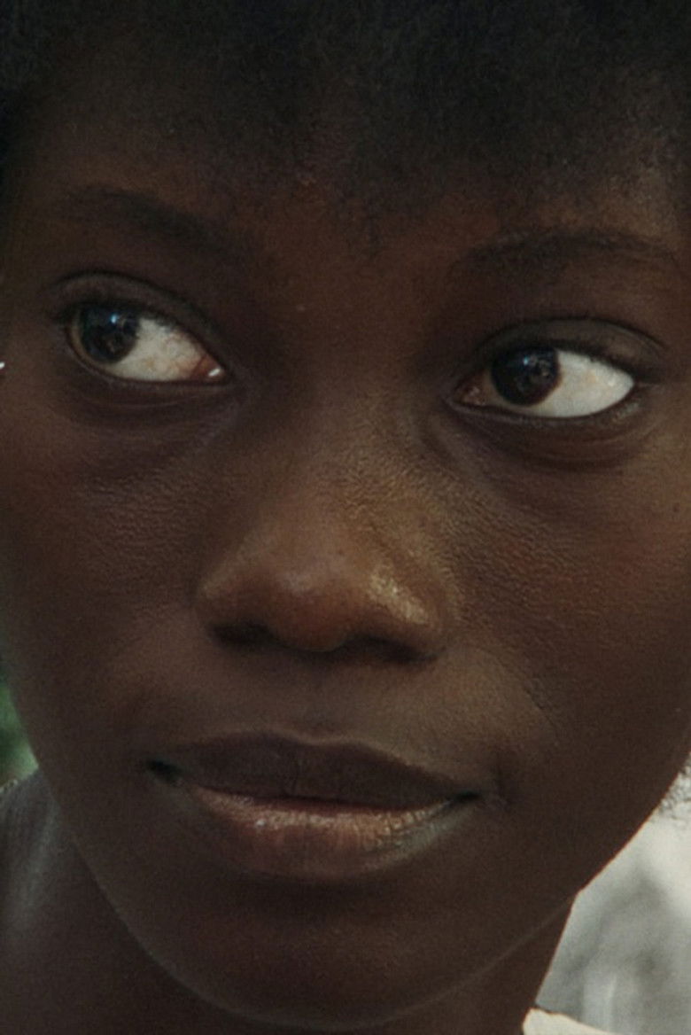 Imatge de Koutkekout