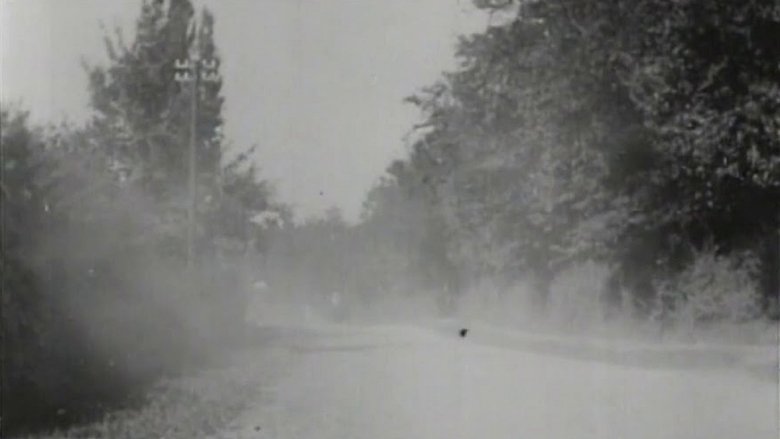 How It Feels to Be Run Over main backdrop