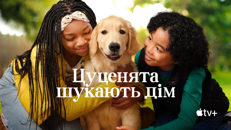 Gallery image from h73rE3d0BS49jhtPPJdetrWfyYu.jpg