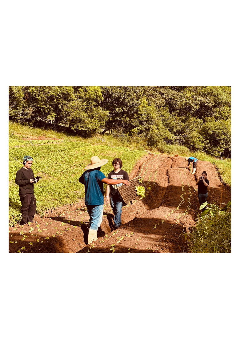 Imatge de Terças, Sábados, Domingos