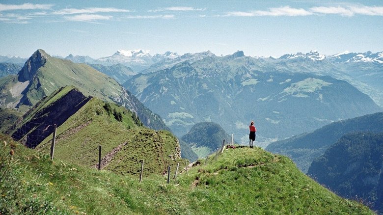 Gallery image from h8SYVtT4nV3cnRZG6kmSKAueXJr.jpg
