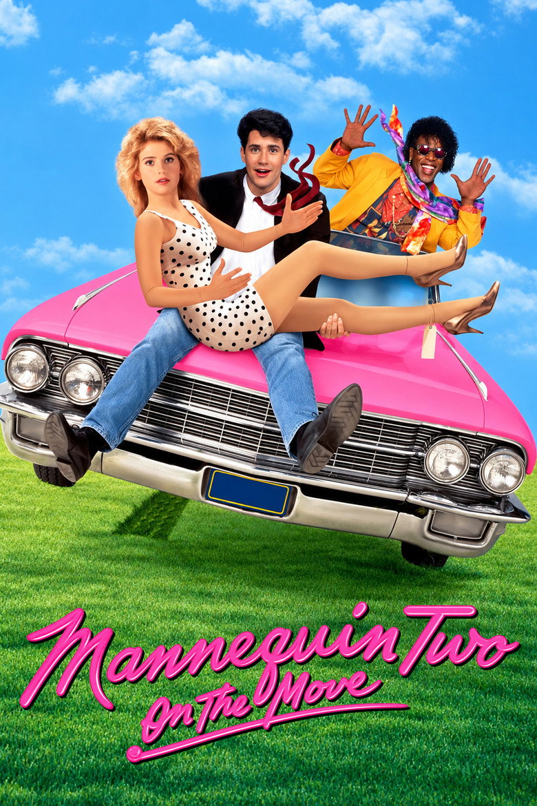 Póster la Película