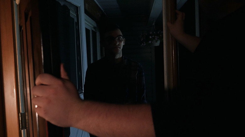 Imatge de The Visitor