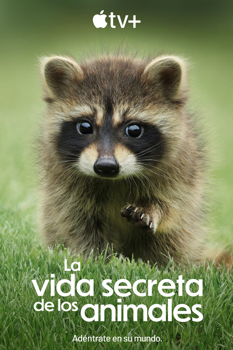 Póster la Serie