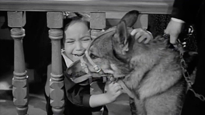 Image d'arrière-plan 2 du film Killer Dog