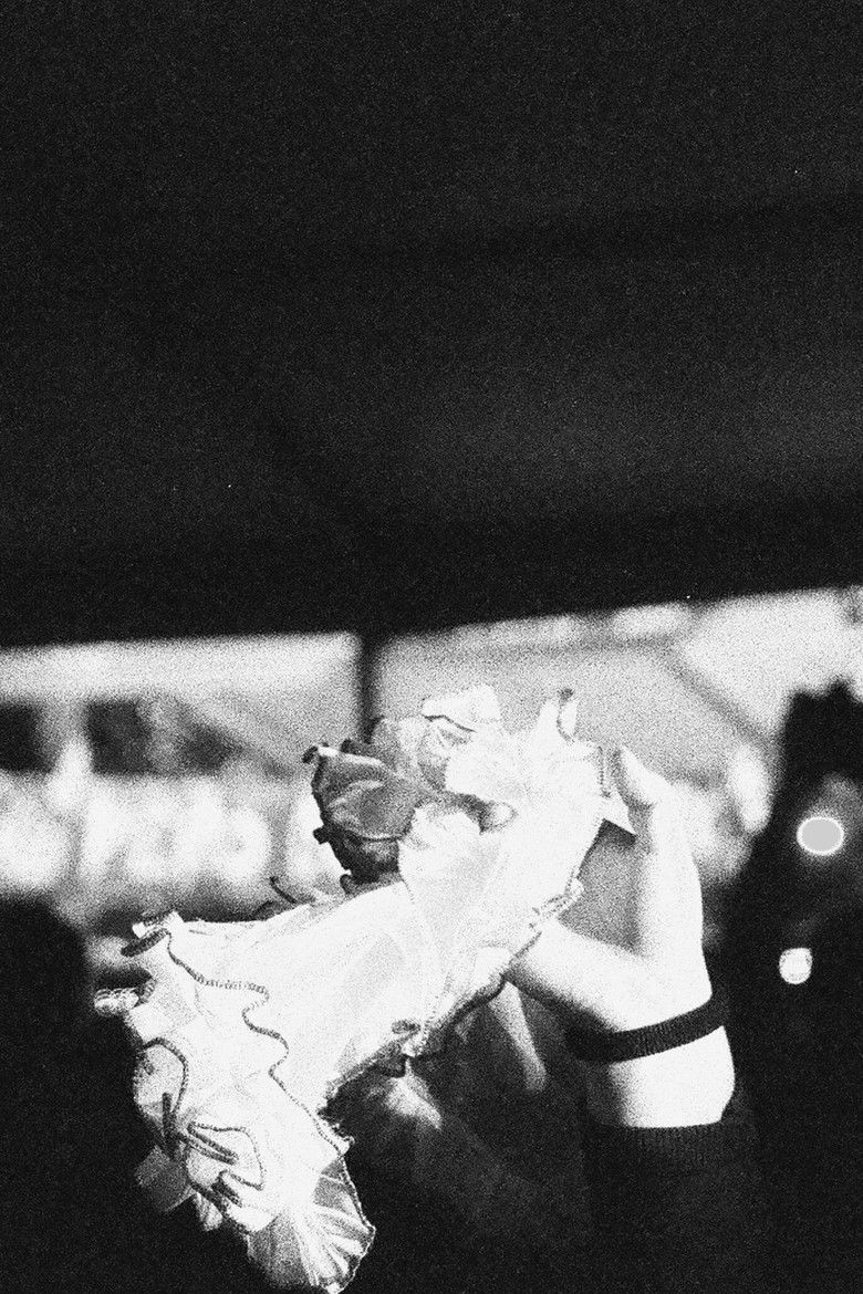 Imatge de Festejos en el Parque O'Higgins