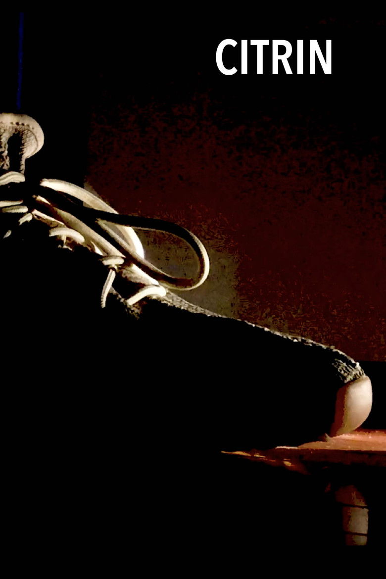 Imatge de CITRIN