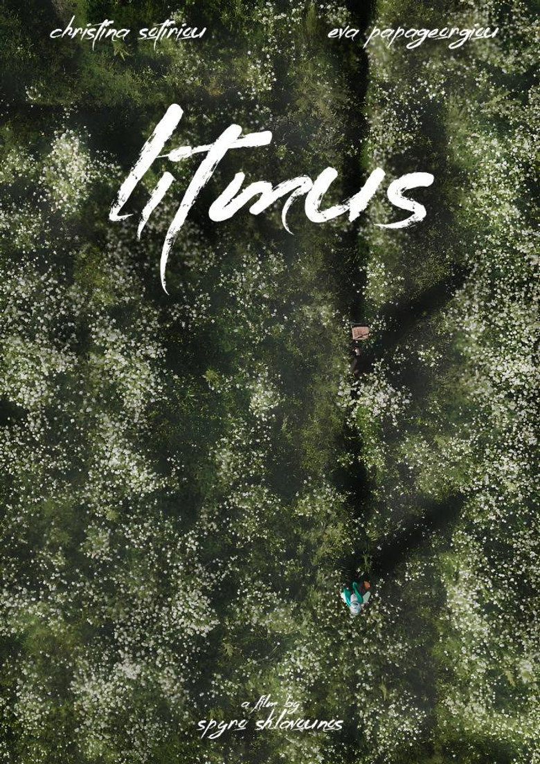 Litmus background