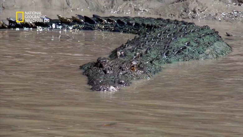 Crocpocalypse galeri 1