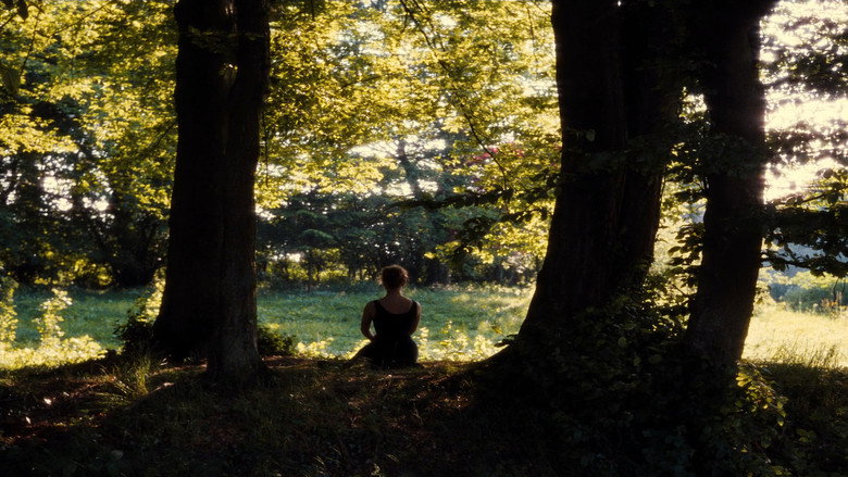 Film backdrop