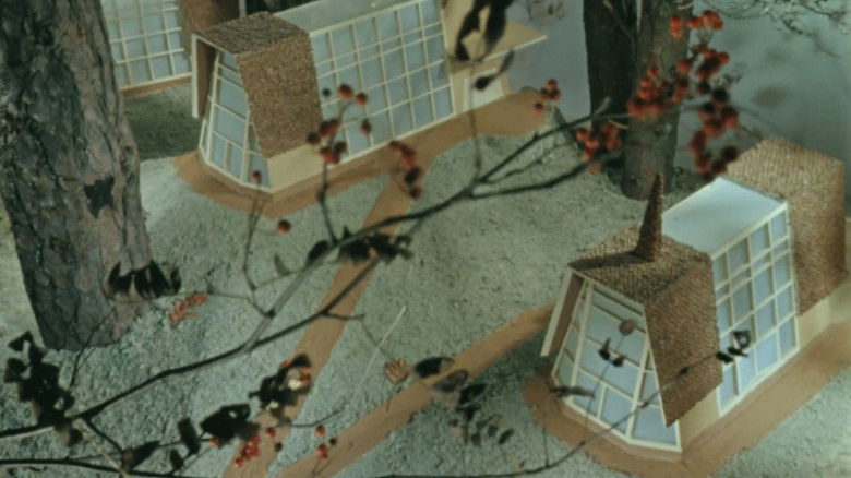 Cameraman Kõps in Mushroomland backdrop 2