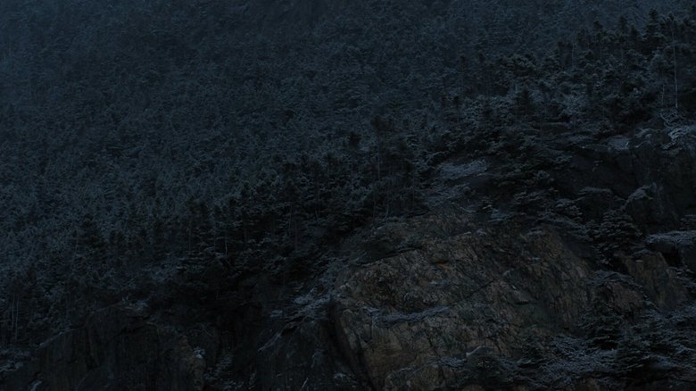 I Don't Want to Forget