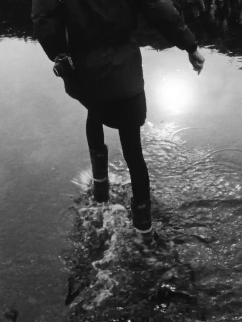 Beta Structure Space