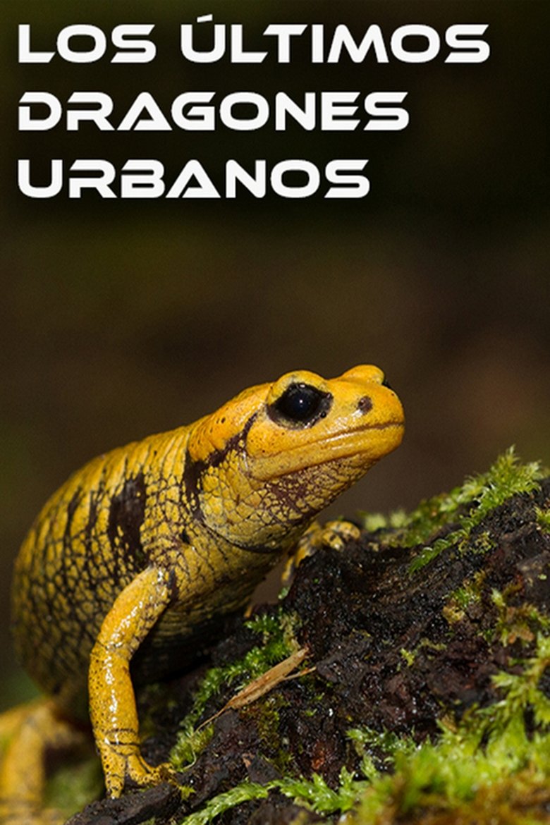Los ultimos dragones de Oviedo poster