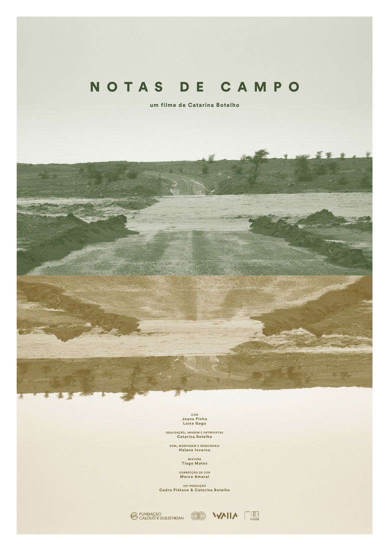 Imatge de Notas De Campo