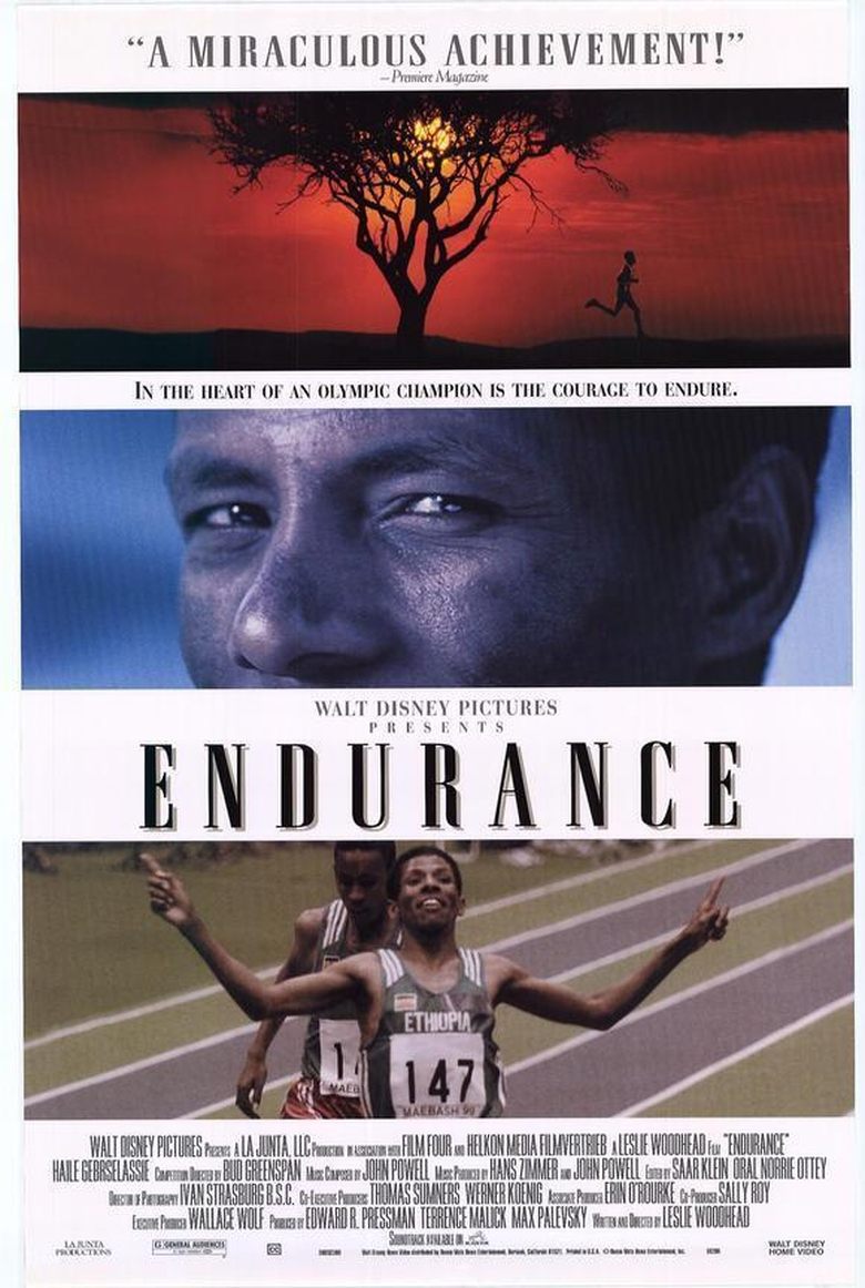 Endurance main poster