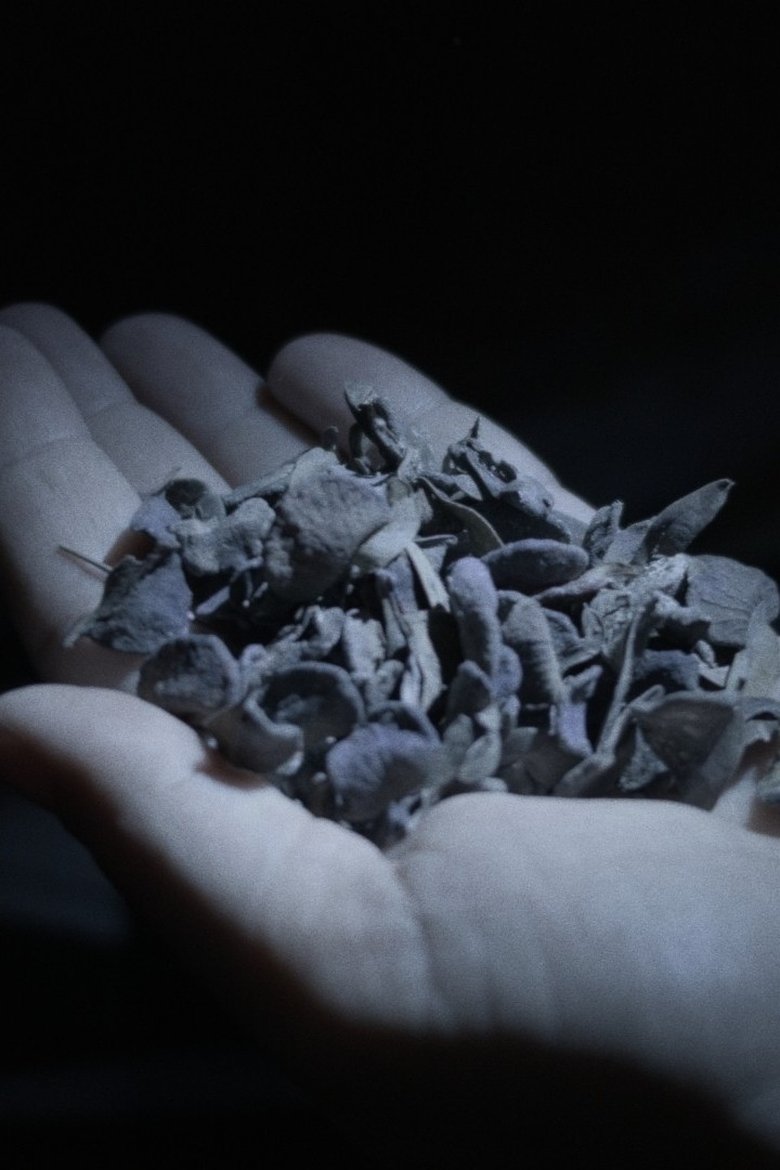 Queste cose non avvennero mai ma sono sempre (1970)