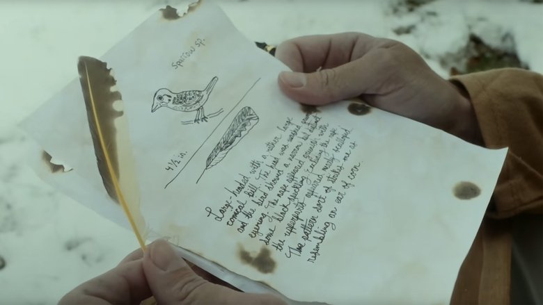 Listers: A Glimpse Into Extreme Birdwatching