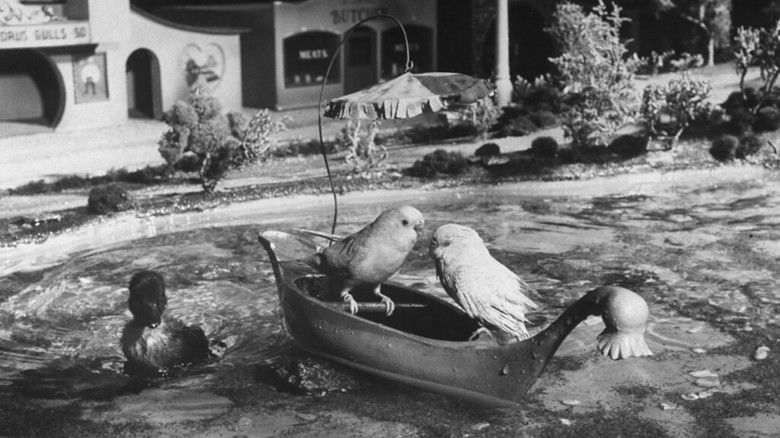 Gallery image from hHoAgrrK9vJ8oXxUbkNbeGNvho3.jpg