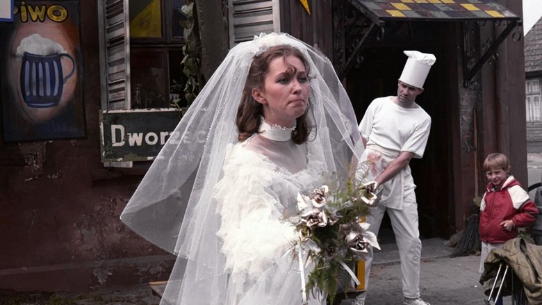 Gallery image from hHrAspy8tA8Pf5CKwpGgOHoIHGD.jpg