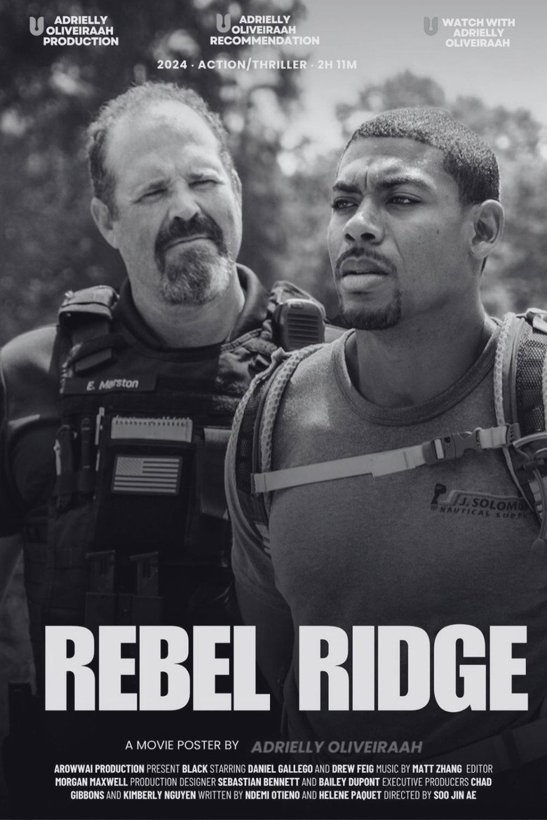 Póster la Película