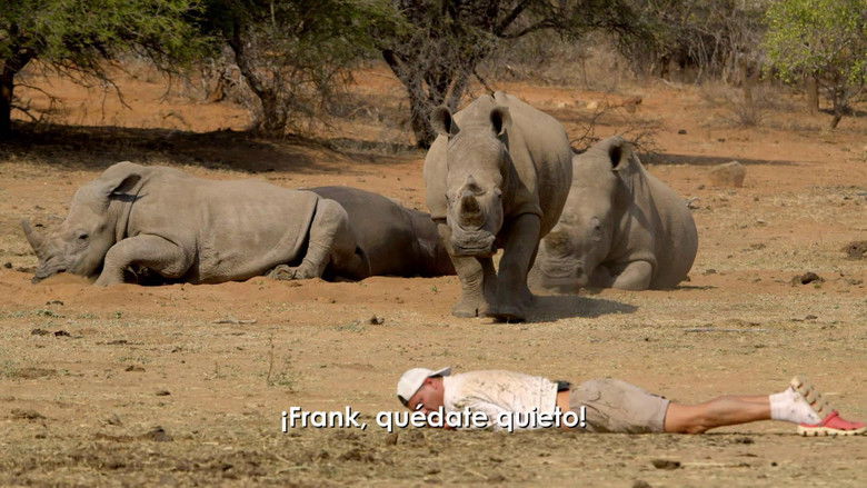 Wild Frank Temporada 21 Episodio 1 Cuevana 3