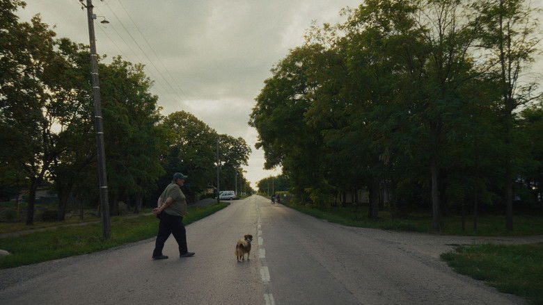 Gallery image from hJhGzEdKMDyBoOP9YZYuMpxQWGk.jpg