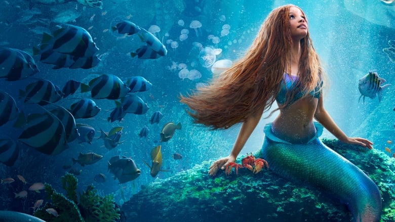 ดูหนัง The Little Mermaid (2023) เงือกน้อยผจญภัย [Full-HD]