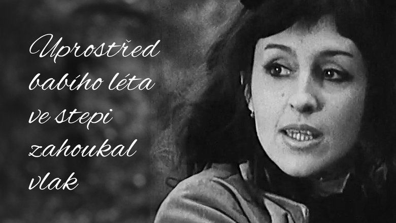 Uprost&#345;ed bab&iacute;ho l&eacute;ta ve stepi zahoukal vlak (1972)