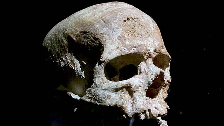 Still image for Secret Nazi Expeditions season 1 episode 5: Cro Magnon Still image for Secret Nazi Expeditions season 1 episode 5: Cro Magnon