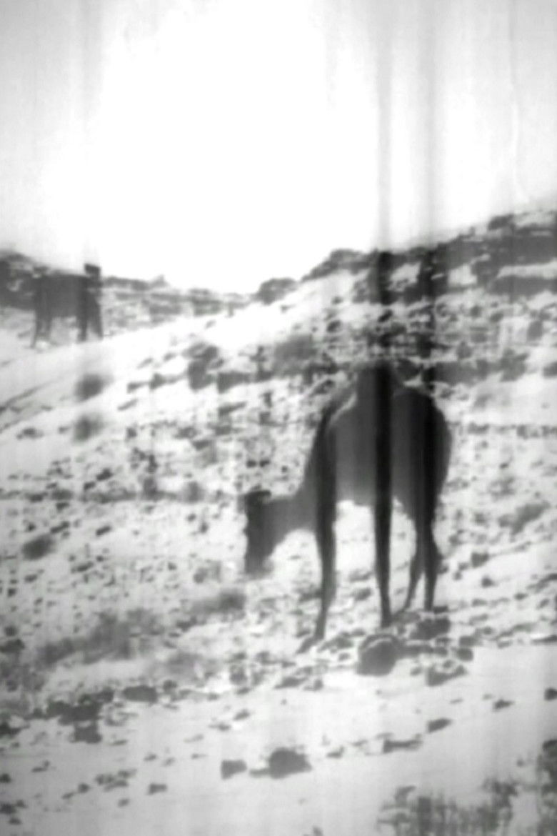 Imatge de Grabados del Ojo Nocturno