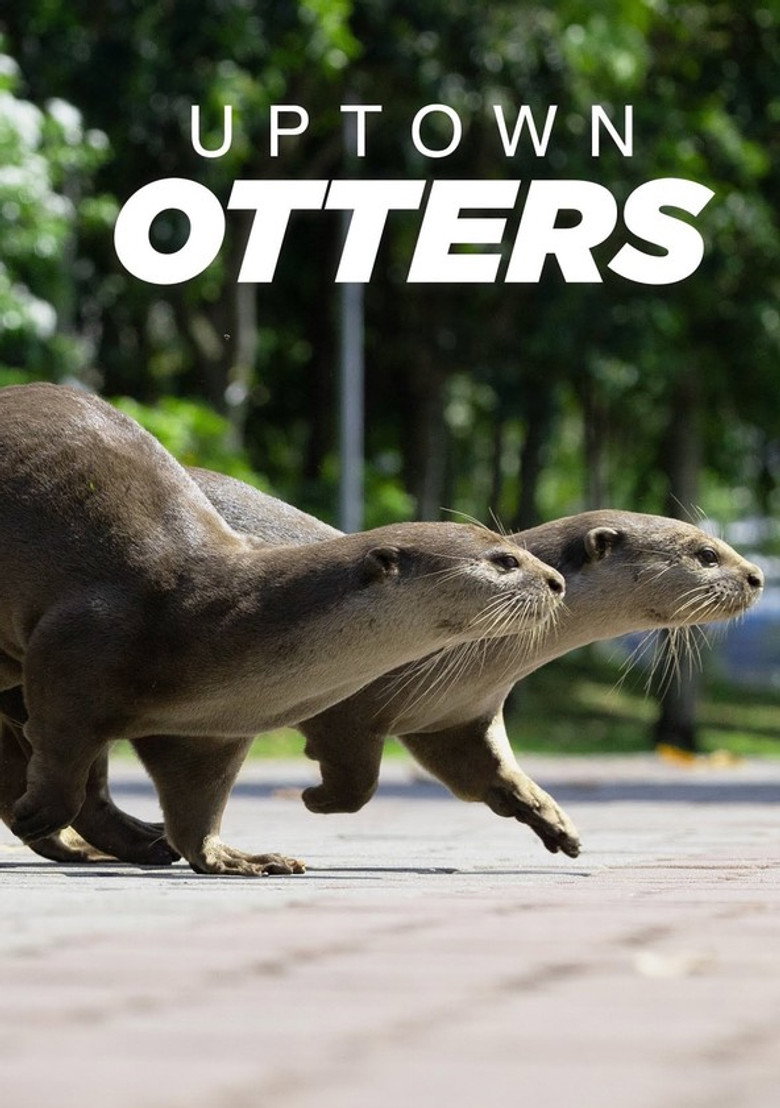 Uptown Otters poster