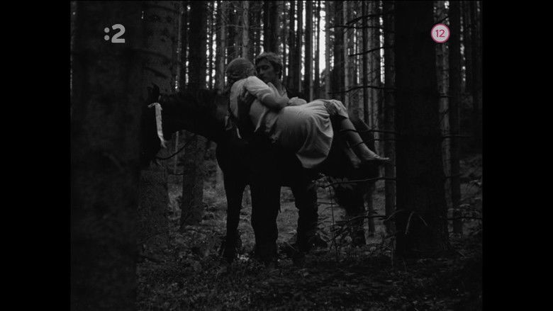 Gallery image from hMEvC5icpMSF6JX2Lf6C2T70r9m.jpg