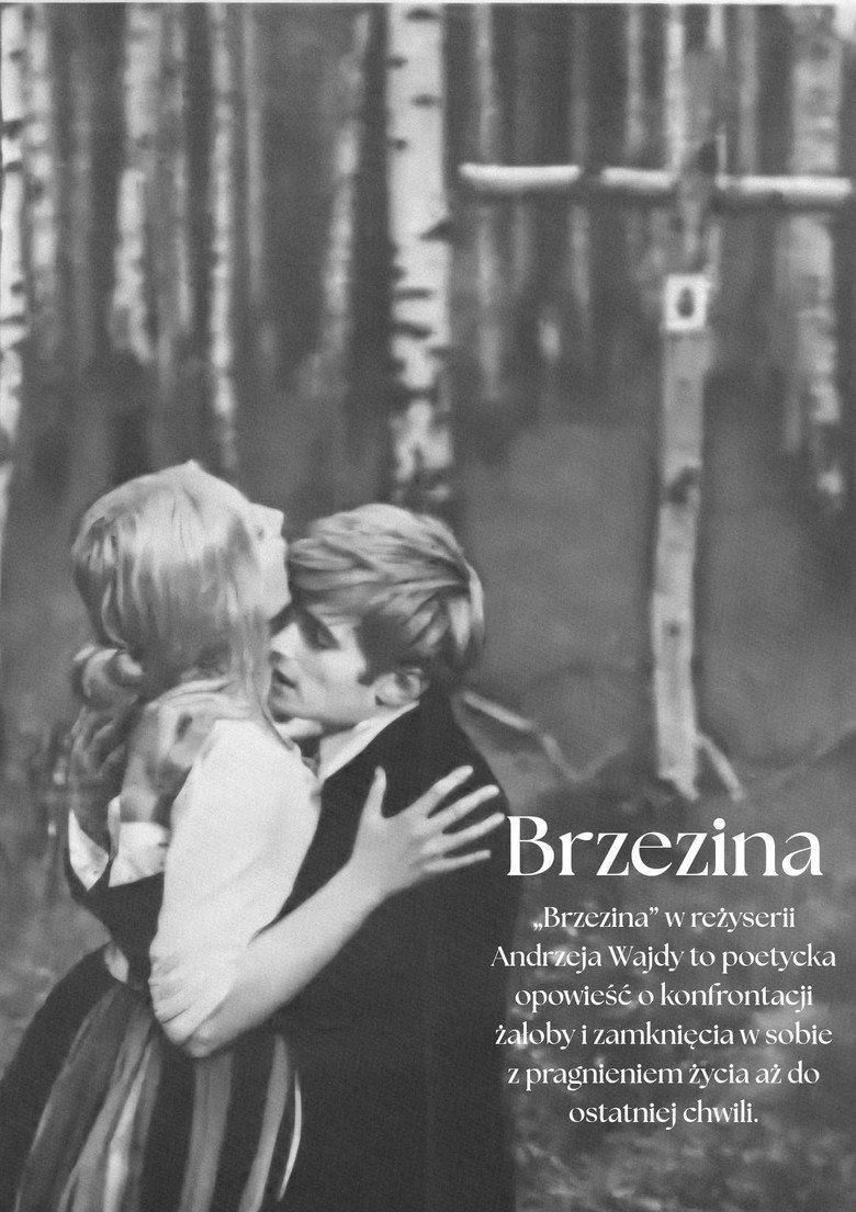 Imatge de Brzezina