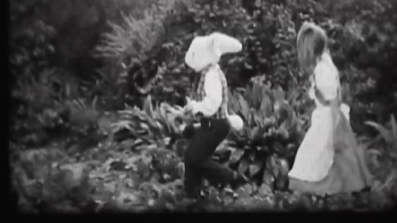 Gallery image from hMWtz2kcrOAYfmCnbgXy0n72ws5.jpg