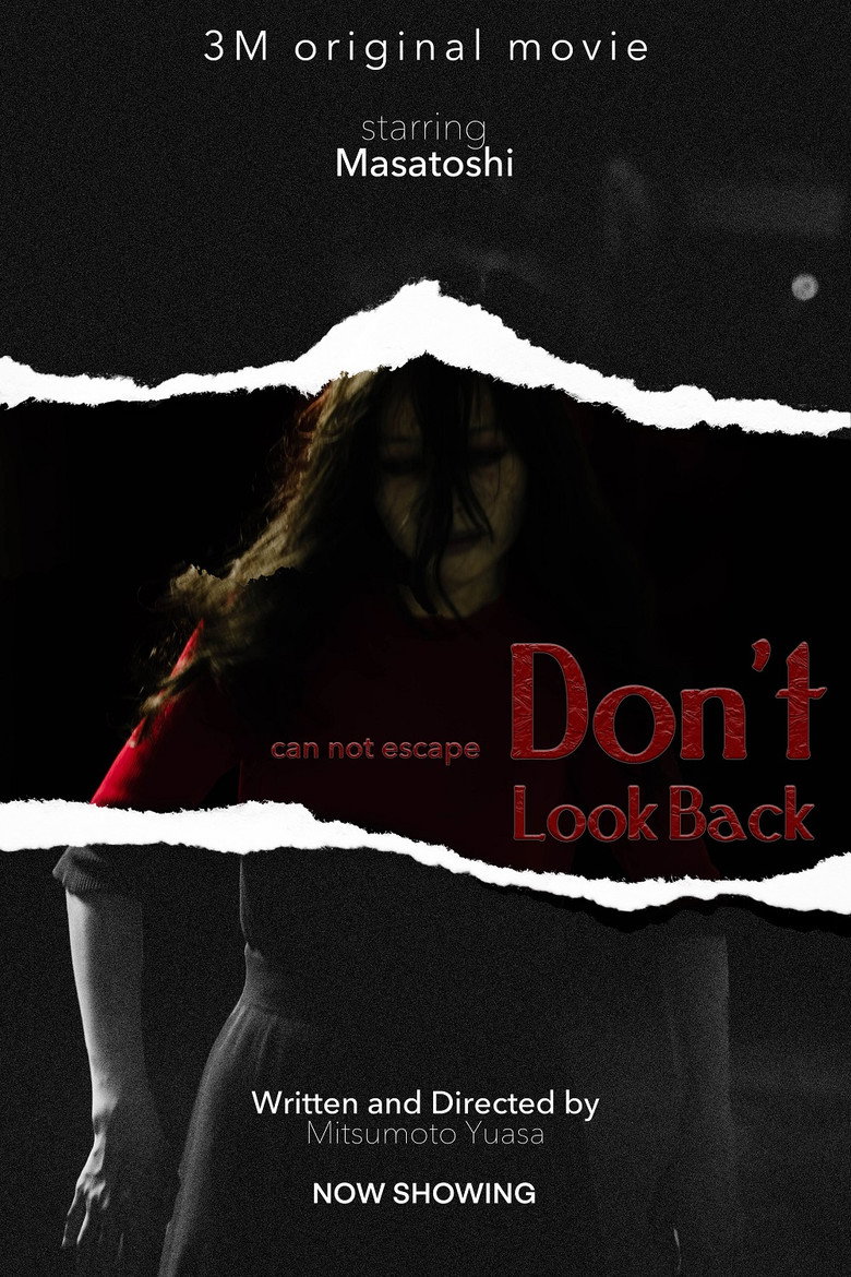 Don't Look Back poster