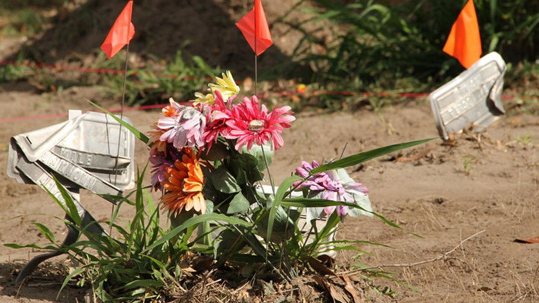 Gallery image from hNE1NeaPzgK81s9vPncXD50ViPa.jpg