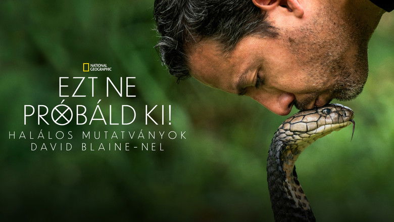 Gallery image from hNX9GVRjYNzOJsHzp86JceU7yka.jpg