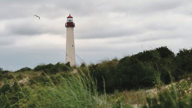 Still image for The National Geographic Guide to Birding in North America season 1 episode 21: Birding Sites in Eastern North America