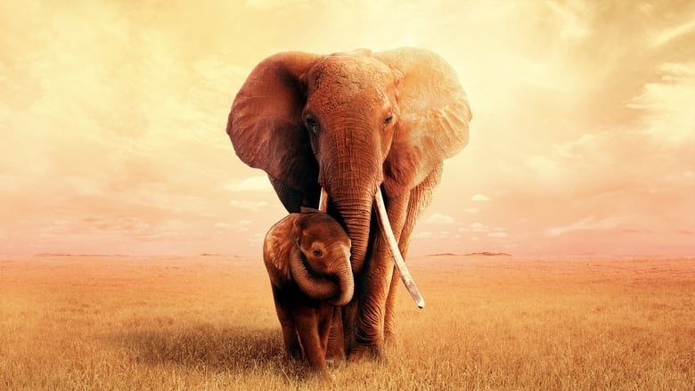 The Elephant Queen – Η Βασίλισσα Ελέφαντας